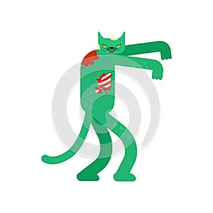 Zombie cat isolated. Zombi pet. Vector illustration