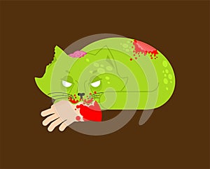 Zombie cat. Pet zombi. Kitten revived dead. kitty Green monster