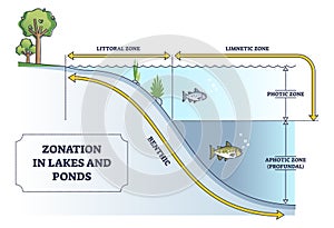 Zonation in lakes and ponds as educational freshwater levels outline diagram