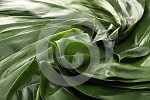 Zongzi Bacang Leaf Background