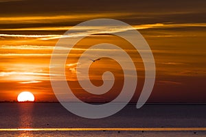 Zonsondergang boven het wad, Wadden Sea at Sunset