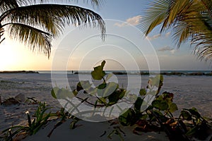 Zonsondergang, Sunset