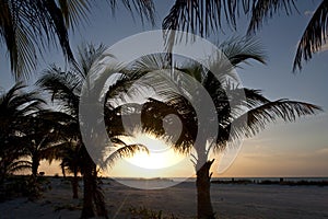 Zonsondergang, Sunset