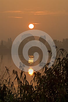 Zonsopkomst Weesp, Sunrise Weesp