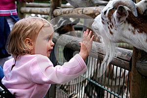 In the zoo photo