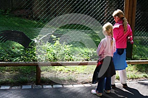 In the zoo photo