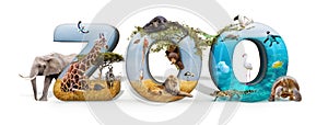 Zoo 3D Word and Animal Composite