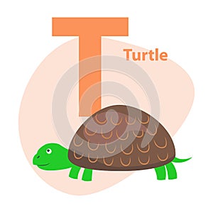 Zoo ABC Letter with Cute Turtle Cartoon Vector