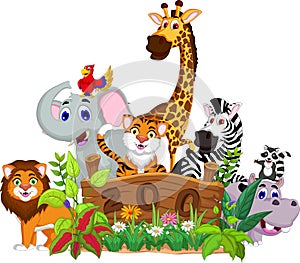 Zoo and the animal cartoon