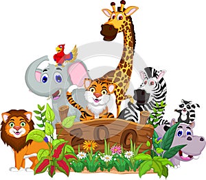 Zoo and the animal cartoon photo