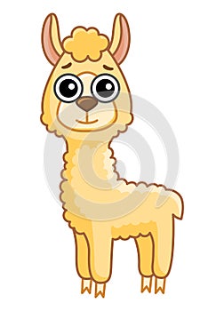 Zoo animal. Funny little alpaka in a cartoon style