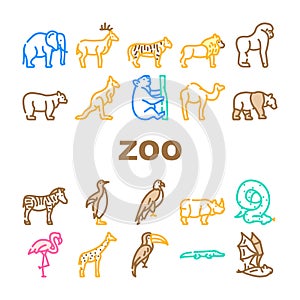 Zoo Animals, Birds And Snake Icons Set Vector