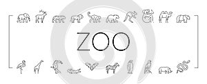Zoo Animals, Birds And Snakes Icons Set Vector .
