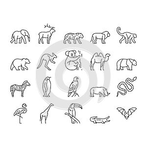 Zoo Animals, Birds And Snakes Icons Set Vector .