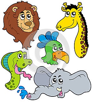 ZOO animals collection 6