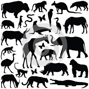 Zoologická záhrada zvieratá vektor ilustrácie 