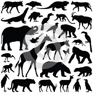 Zoo animals vector illustration photo
