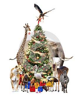 Zoo Animals Decorating Christmas Tree
