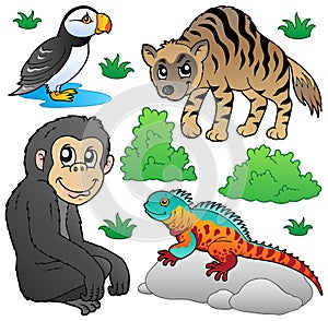 Zoo animals set 2