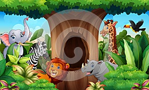 Zoo animals under the hollow tree landscape