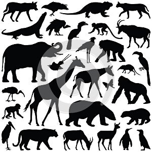 Zoo animals vector illustration