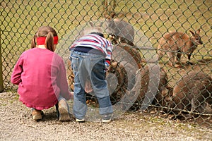 Zoo attendance