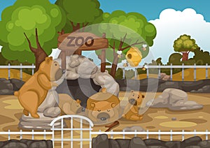 Zoo and bear vector