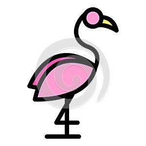 Zoo flamingo icon vector flat