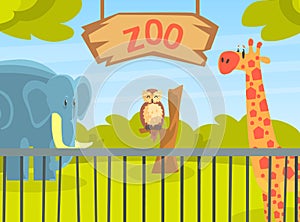 Zoo Park with Wild Animals, Natural African Landscape with Wild Giraffe, Elephant, Owl Animal Vector Illustration