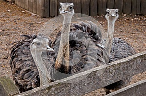 The Zoo in Sioux Falls, South Dakota is a family friendly Attraction for all Ages