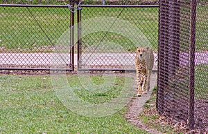 The Zoo in Sioux Falls, South Dakota is a family friendly Attraction for all Ages