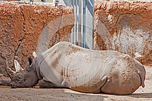 The Zoo in Sioux Falls, South Dakota is a family friendly Attraction for all Ages