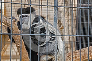 The Zoo in Sioux Falls, South Dakota is a family friendly Attraction for all Ages