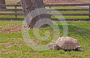 The Zoo in Sioux Falls, South Dakota is a family friendly Attraction for all Ages