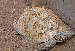 The Zoo in Sioux Falls, South Dakota is a family friendly Attraction for all Ages