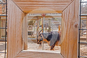 The Zoo in Sioux Falls, South Dakota is a family friendly Attraction for all Ages