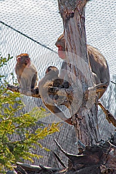 The Zoo in Sioux Falls, South Dakota is a family friendly Attraction for all Ages