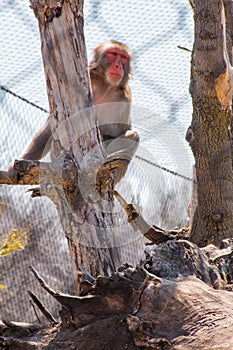 The Zoo in Sioux Falls, South Dakota is a family friendly Attraction for all Ages