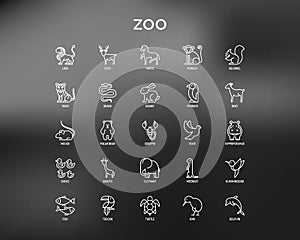 Zoo thin line icons set: lion, deer, horse, monkey, tiger, penguin, hippo, giraffe, elephant, turtle. Modern vector illustration