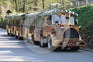 ZOO train