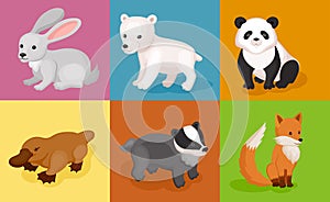 Zoo wild animals colorful set. Vector illustration