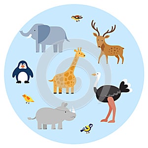 Zoo wild animals flat set