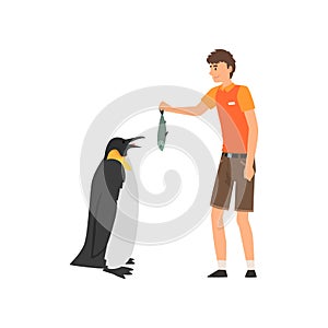 Zoo Worker Feeding Penguin Fish, Professional Zookeeper Character Caring of Animals Vector Illustration