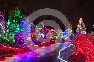 Zoolights at the Point Defiance Zoo in Tacoma, WA