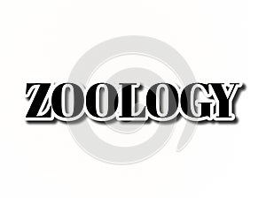 zoology 3d  text typography illustration