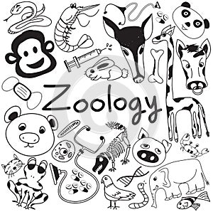 Zoology biology doodle icons of various animal species