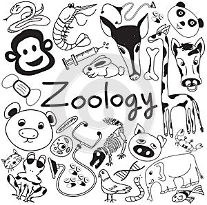 Zoology biology doodle icons of various animal species photo