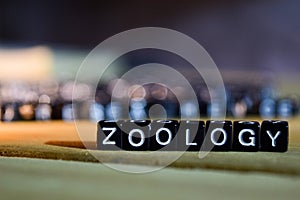 ZOOLOGY concept wooden blocks on the table. photo