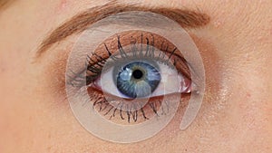 Zoom Close-up Macro Shot of Female Human Eye Blinking (Key-able Green Screen)