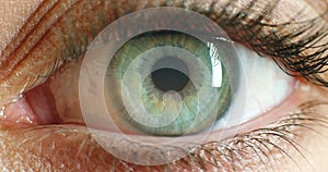 Zoom closeup of eye, biometric innovation for digital security or protection of building with iris scan technology